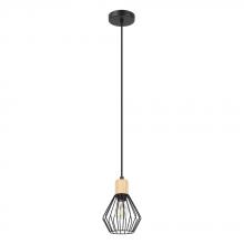  205587A - Palmorla 1-Light Pendant