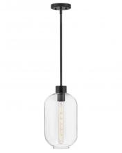 Lark Canada 83657BK - Small Pendant