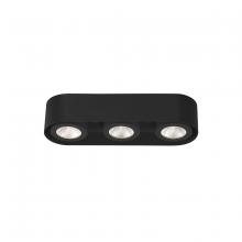  33618-021 - Nymark, 3LT LED Surface Mnt, Blk