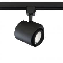  TLED-08-BLK - LED TRACK CYLINDER