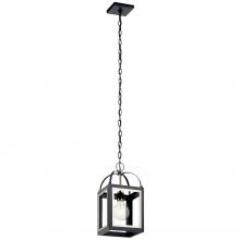  52030BK - Indoor Pendant 1Lt