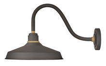 Hinkley Canada 10443MR - Medium Gooseneck Barn Light