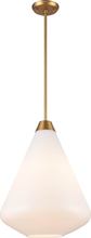  DVP25805BR-TO - St Julian 14 Inch Pendant