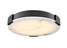  DVP42038EB-GFA - Petra 14" LED Flush Mount