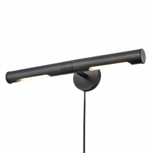 DVI DVP36916EB - BOUVIER 22.25" 2 LT PICTURE LIGHT