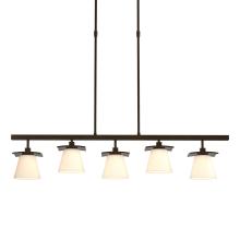  136605-SKT-STND-14-GG0242 - Wren 5 Light Pendant