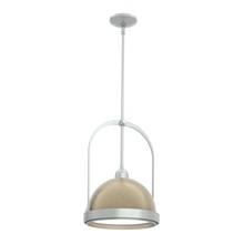  187462-SKT-MULT-82-84 - Atlas Small Pendant