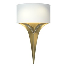  205315-SKT-86-SF1092 - Calla Sconce