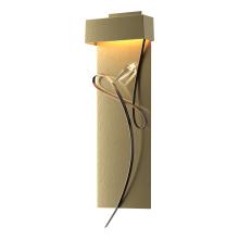  205440-LED-86-05-CR - Rhapsody LED Sconce