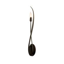  209120-SKT-14 - Willow Sconce